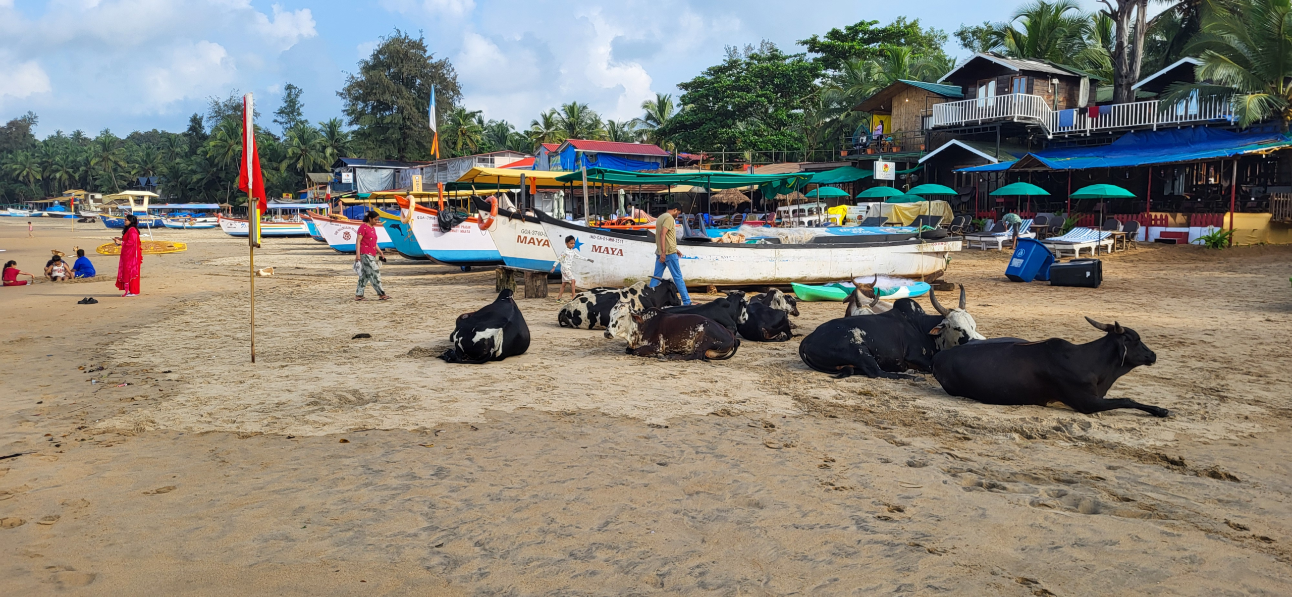 First Time In Goa? Here’s Exactly What Our First 72 Hours Were Like